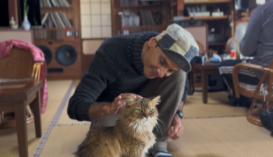 Sunday only tour. History, beautiful garden and cats! Join our e-bike tour to discover ”THE REAL OKINAWA ”/ 日曜日限定!歴史、庭園、そして猫ちゃん。「素顔の沖縄」を探しに行きましょう!