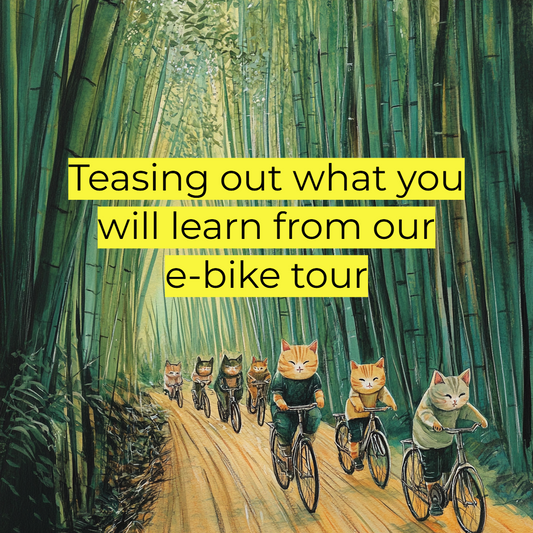 10 Fun Facts About Kyoto You’ll Learn on Our E-Bike Tours in Arashiyama