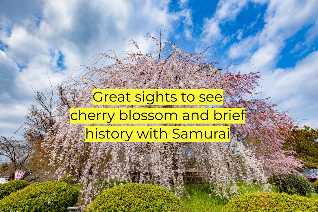 Things That a Tour Guide Learned Today: Sakura and Samurai: Historical Kyoto Under the Blossoms