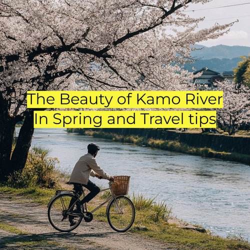 E-Bike Tour Through the Kamo River in Spring